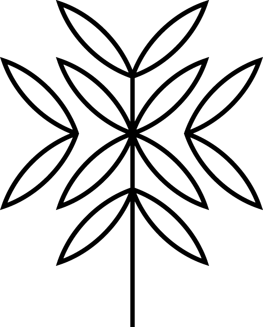 Knarly CBD