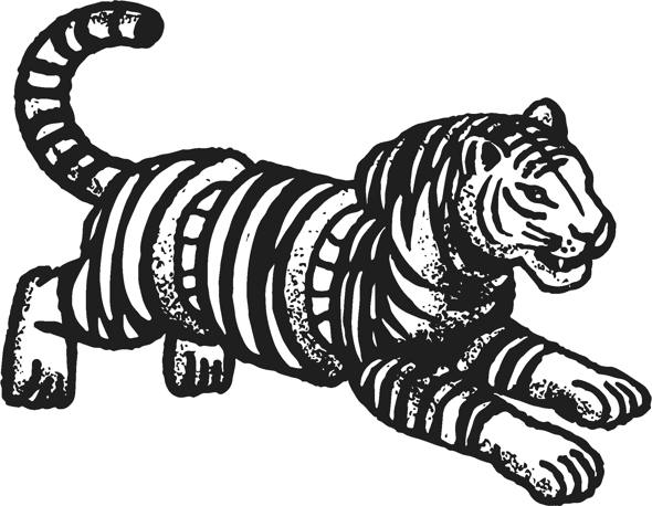 Neoshi